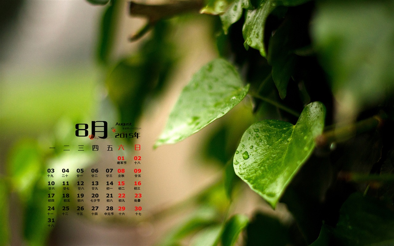 2015年8月 月曆壁紙(一) #11 - 1280x800