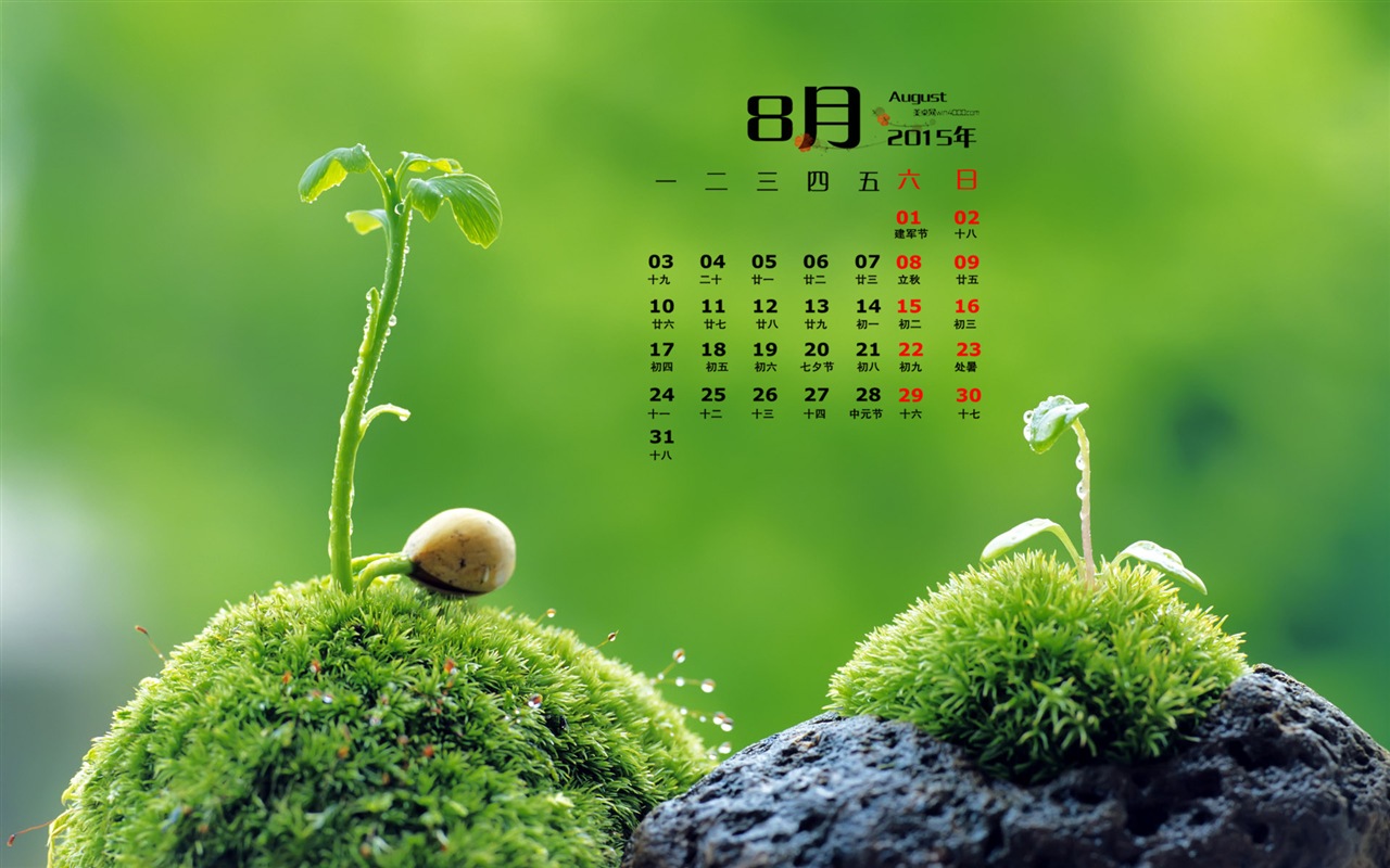 2015年8月 月历壁纸(一)16 - 1280x800