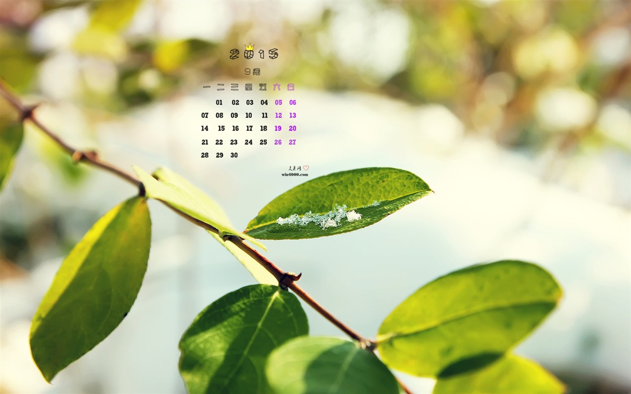 Září 2015 kalendář tapety (1) #9 - 1280x800