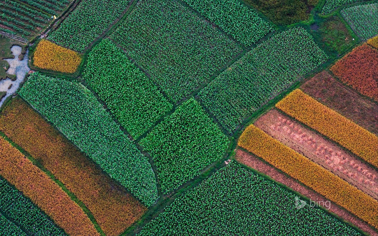 Dubna 2015 Bing HD tapety na plochu #16 - 1280x800