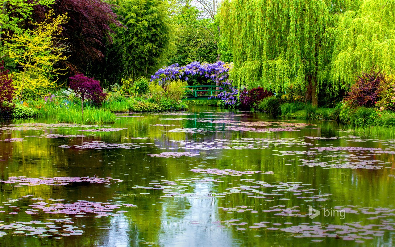 Dubna 2015 Bing HD tapety na plochu #24 - 1280x800