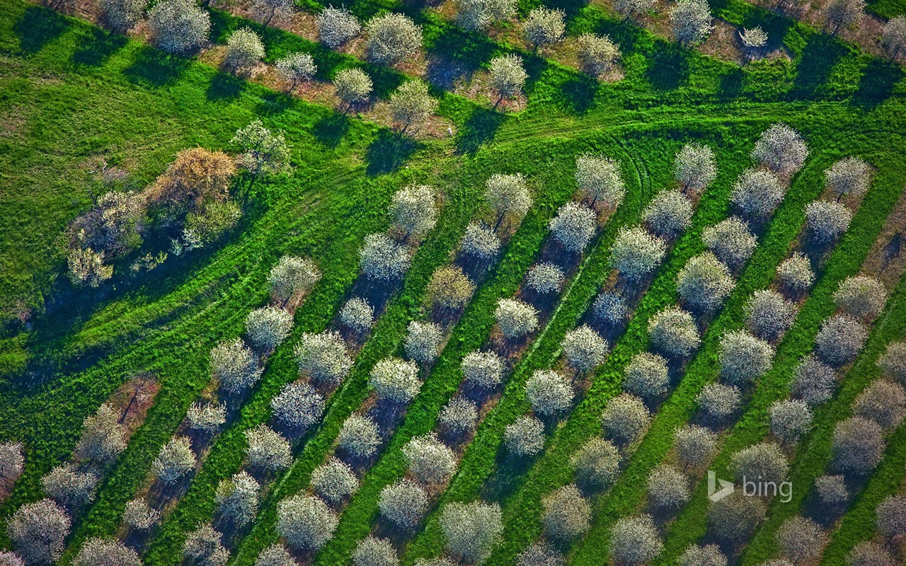2015年5月 Bing必應高清壁紙 #4 - 1280x800