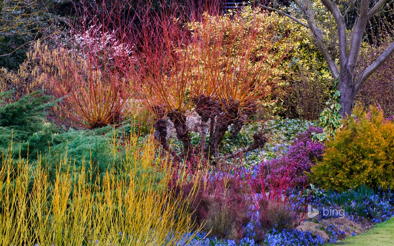Května 2015 Bing HD tapety na plochu #21 - 1280x800
