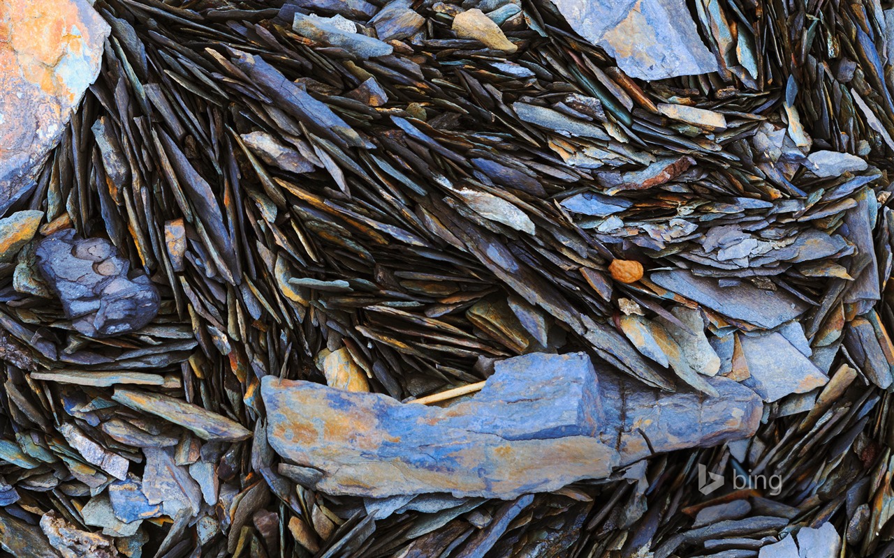 Mai 2015 fonds d'écran HD Bing #29 - 1280x800