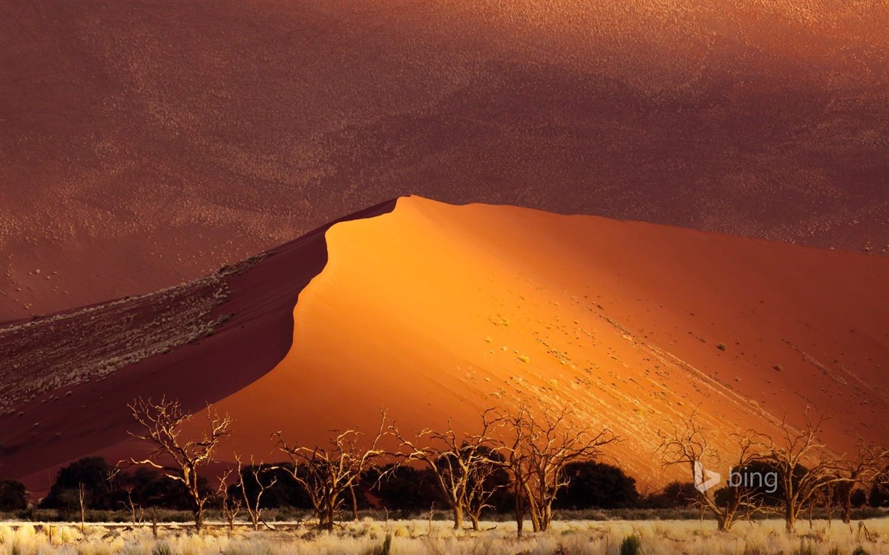 Mai 2015 fonds d'écran HD Bing #31 - 1280x800