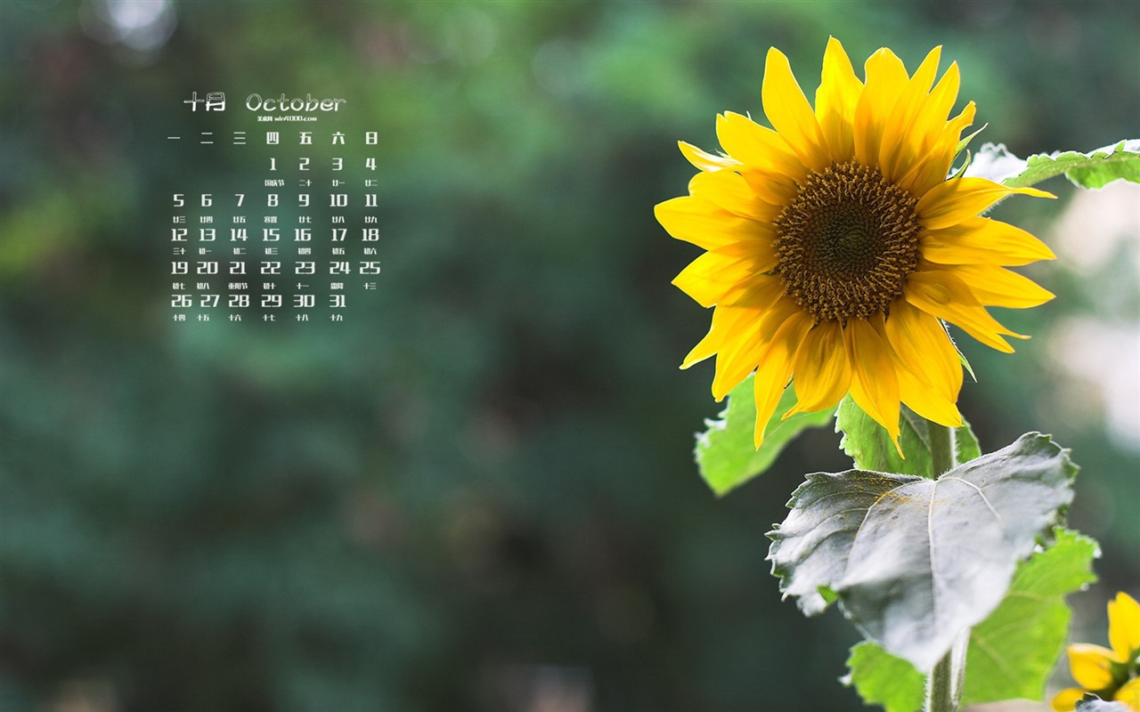 2015年10月 月曆壁紙(一) #2 - 1280x800