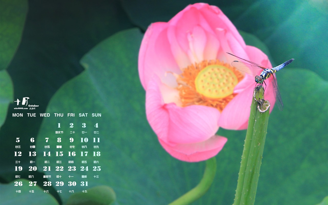 Oktober 2015 Kalender Wallpaper (1) #8 - 1280x800