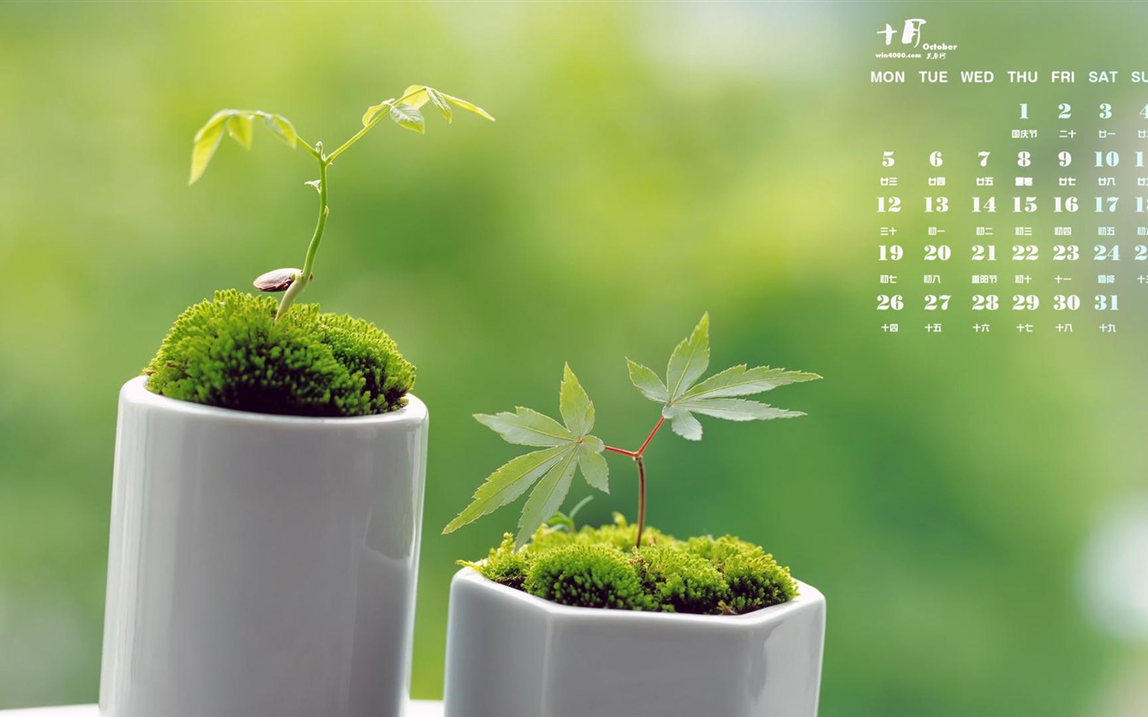 Října 2015 kalendář tapety (1) #18 - 1280x800