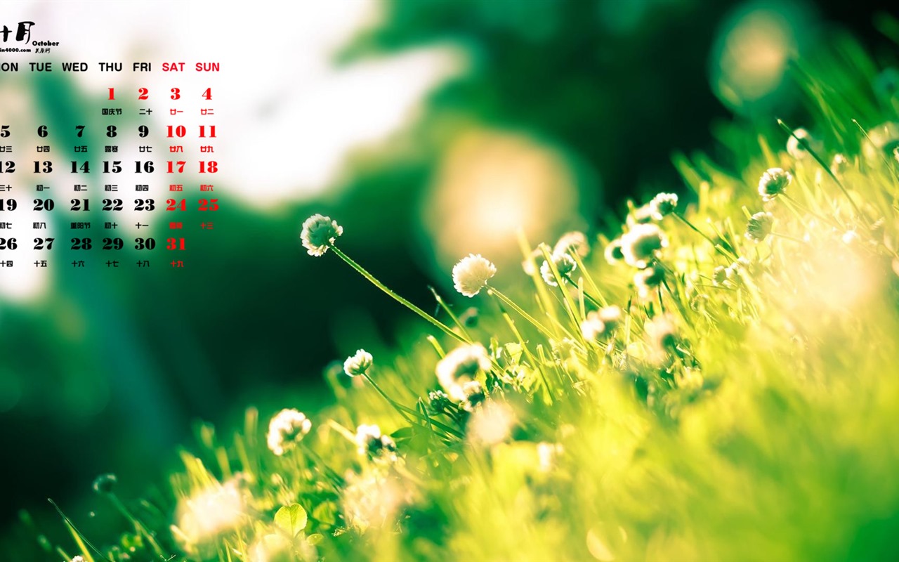 October 2015 calendar wallpaper (1) #20 - 1280x800