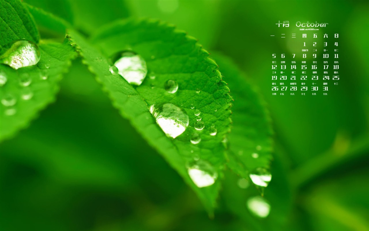 Října 2015 kalendář tapety (2) #5 - 1280x800
