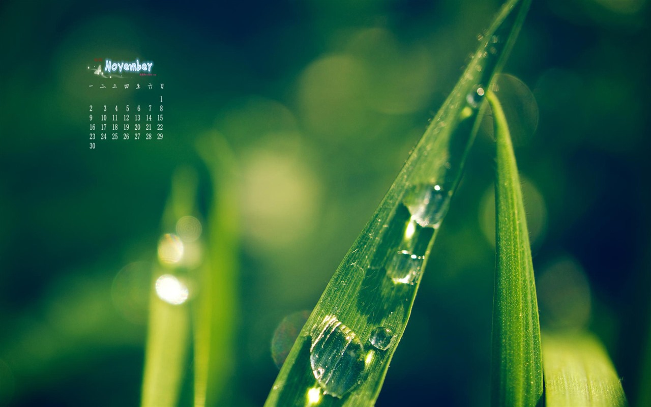 November 2015 Calendar wallpaper (1) #5 - 1280x800