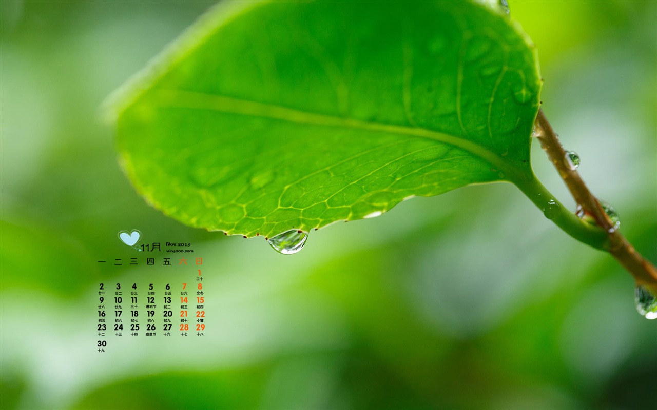 November 2015 Calendar wallpaper (1) #11 - 1280x800