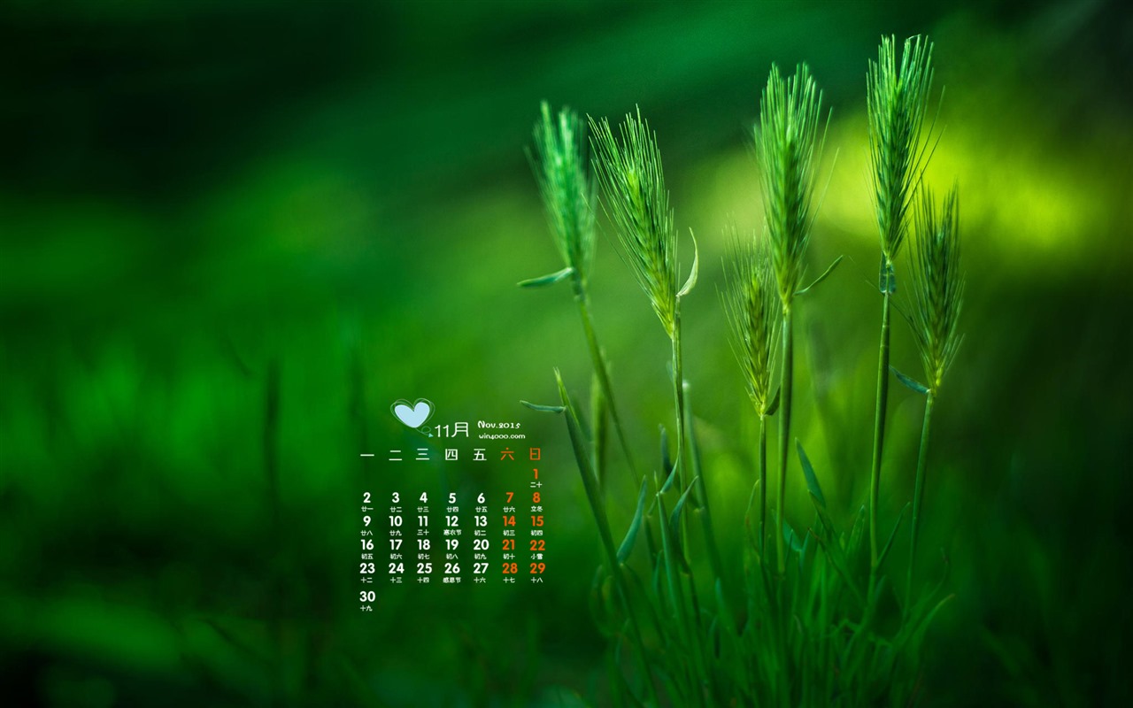 11. 2015 Kalendář tapety (2) #2 - 1280x800