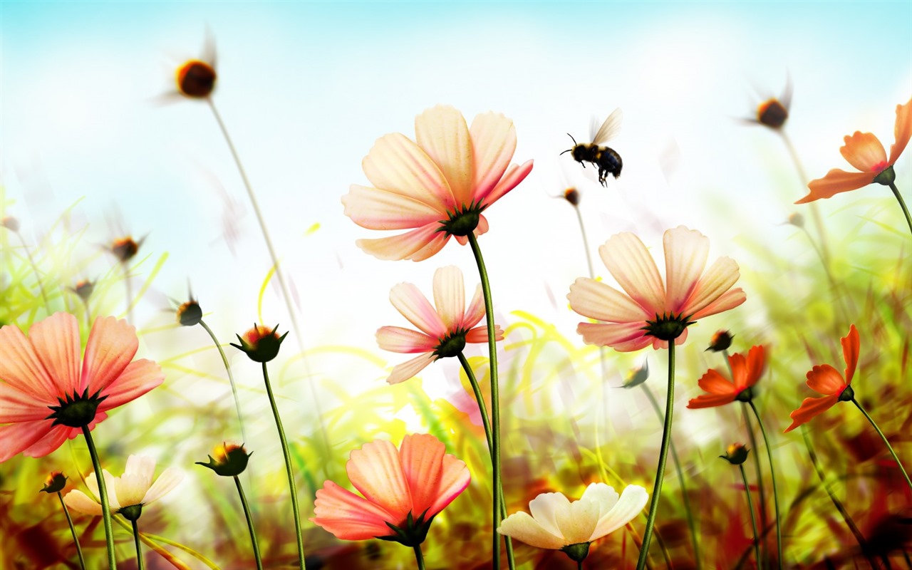 美麗的鮮花與露水 高清壁紙 #10 - 1280x800