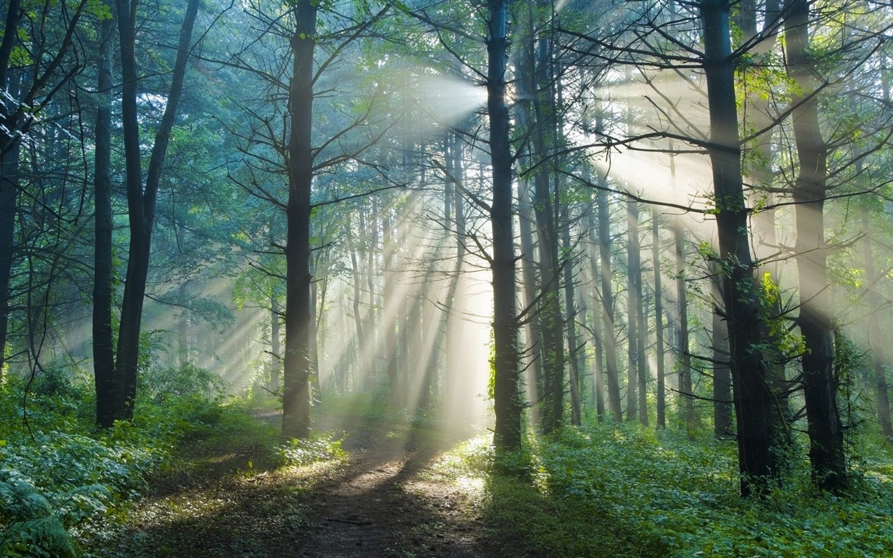 Les arbres, les montagnes, l'eau, lever et coucher du paysage de nature, fonds d'écran HD #23 - 1280x800