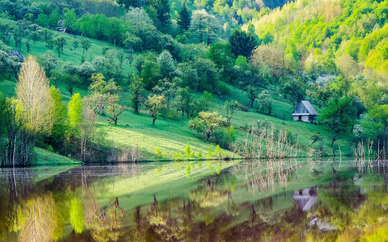 Les arbres, les montagnes, l'eau, lever et coucher du paysage de nature, fonds d'écran HD #24 - 1280x800
