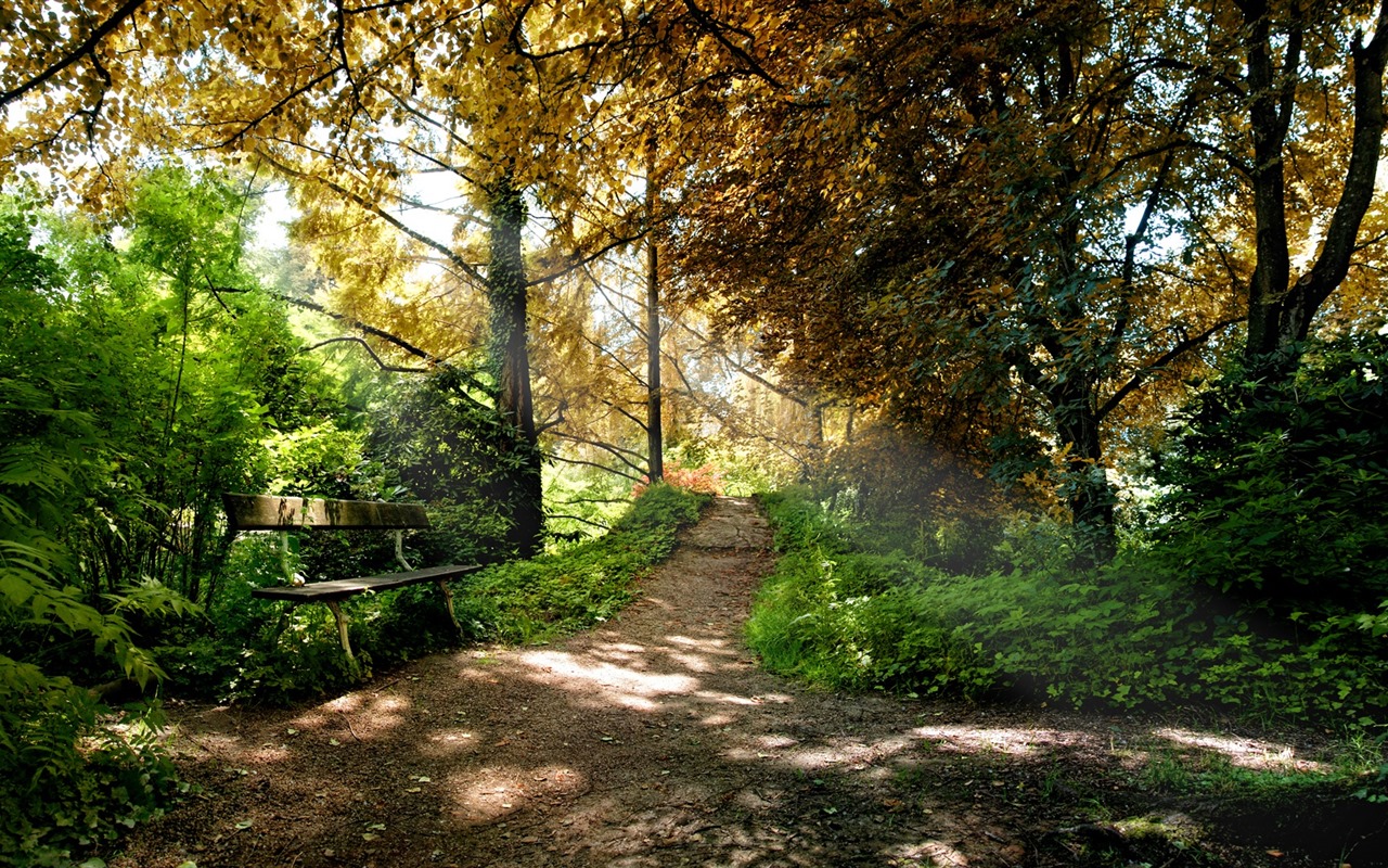 Les arbres, les montagnes, l'eau, lever et coucher du paysage de nature, fonds d'écran HD #29 - 1280x800