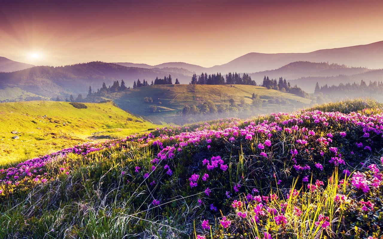 Les arbres, les montagnes, l'eau, lever et coucher du paysage de nature, fonds d'écran HD #31 - 1280x800