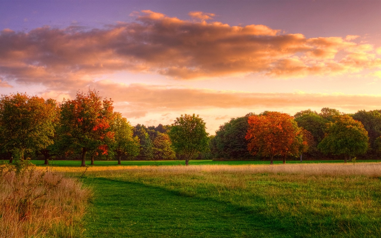 Les arbres, les montagnes, l'eau, lever et coucher du paysage de nature, fonds d'écran HD #34 - 1280x800