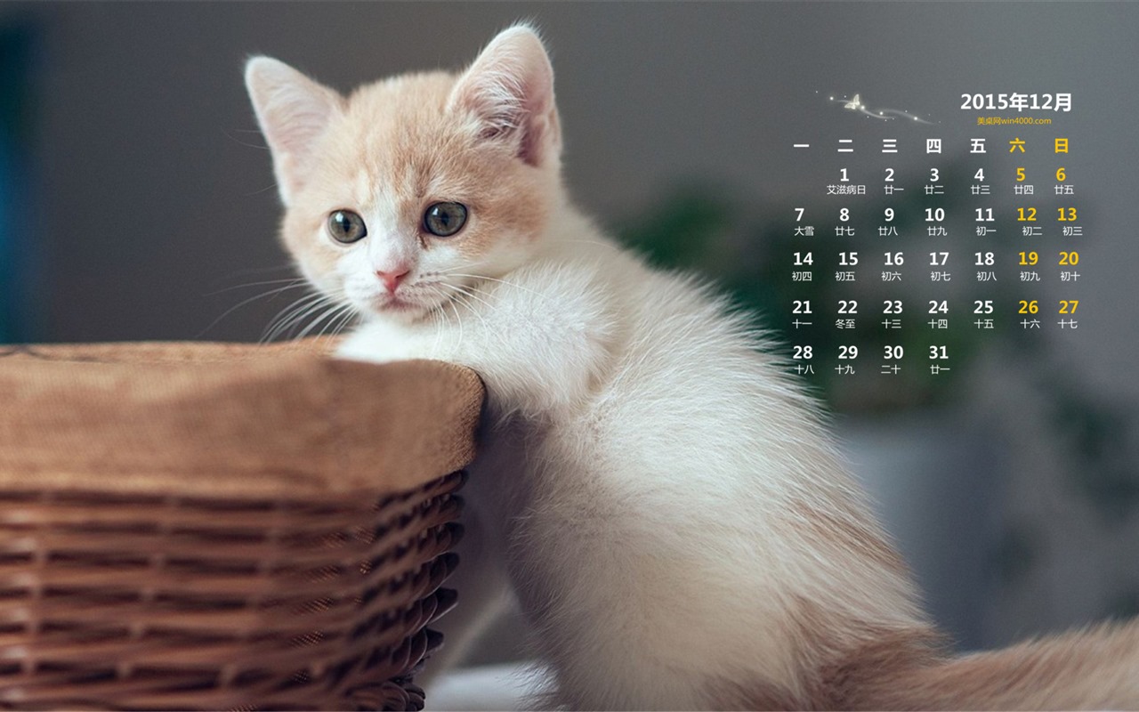 2015年12月 月曆壁紙(一) #5 - 1280x800