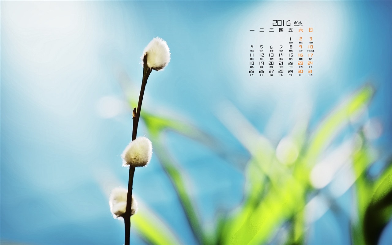 2016年1月 月曆壁紙(一) #10 - 1280x800