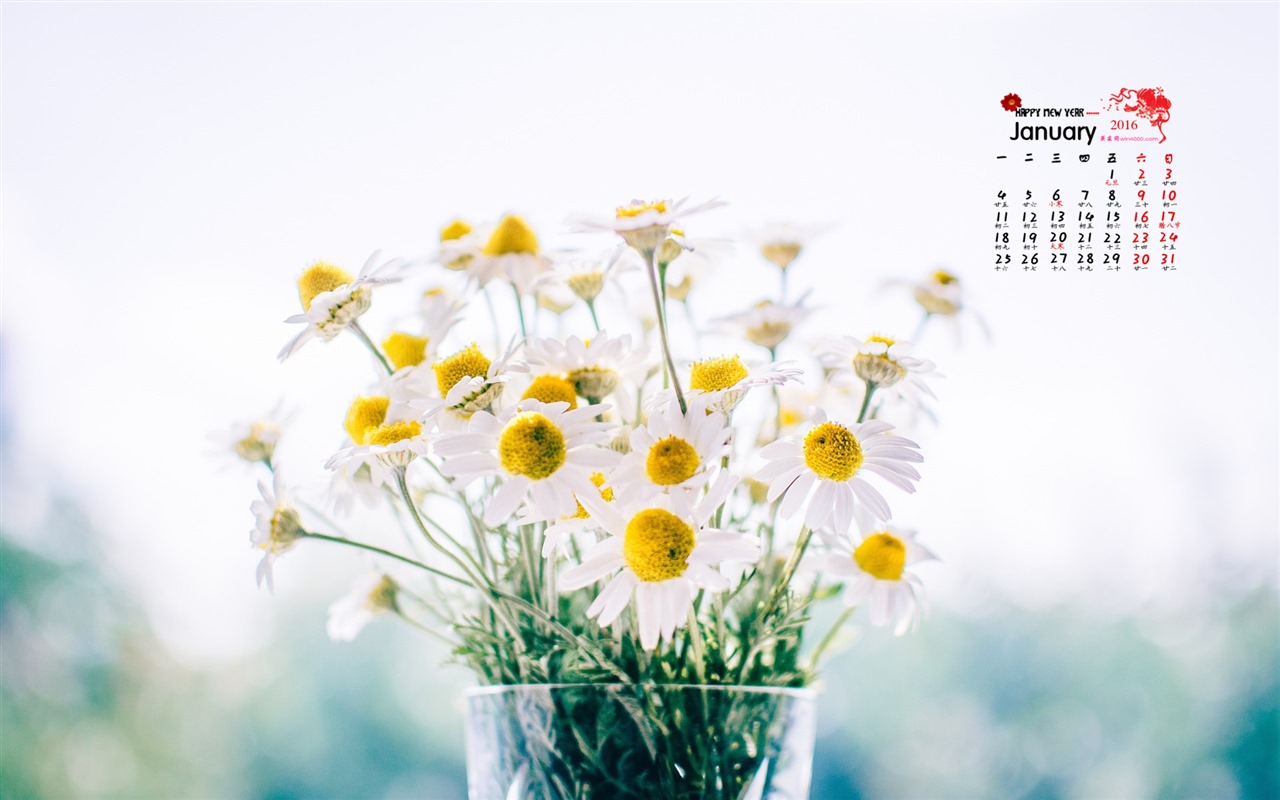 Januar 2016 Kalender Wallpaper (1) #15 - 1280x800