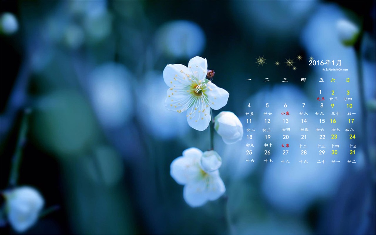 Januar 2016 Kalender Wallpaper (1) #19 - 1280x800