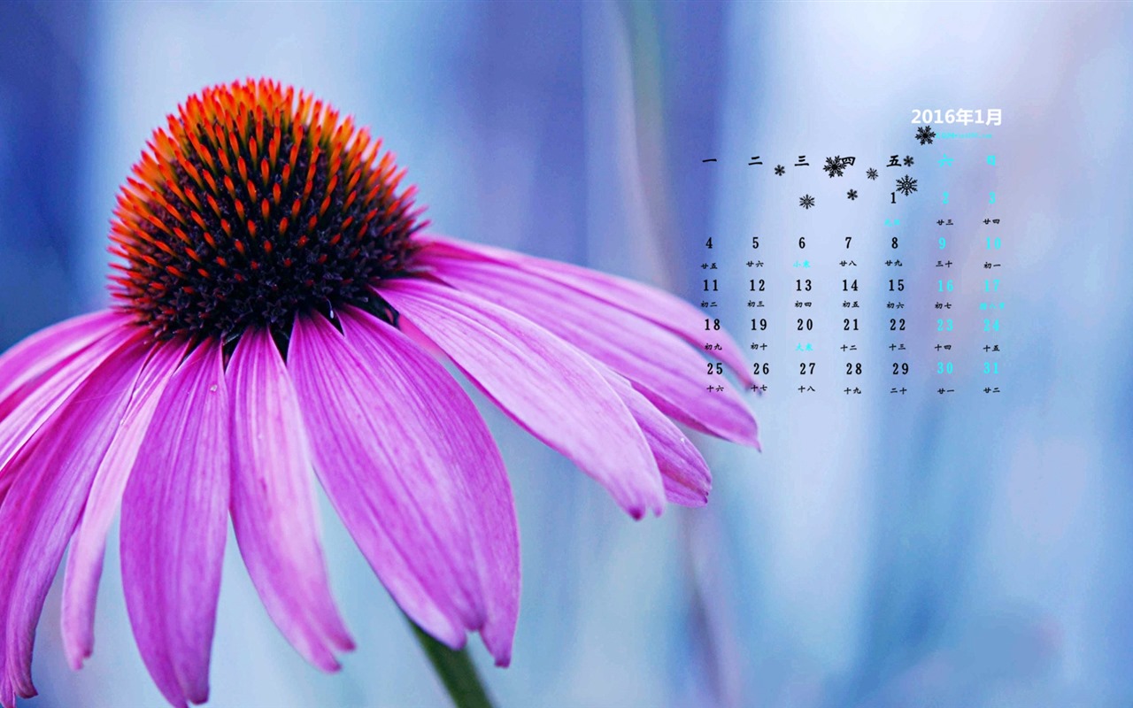 Januar 2016 Kalender Wallpaper (2) #5 - 1280x800