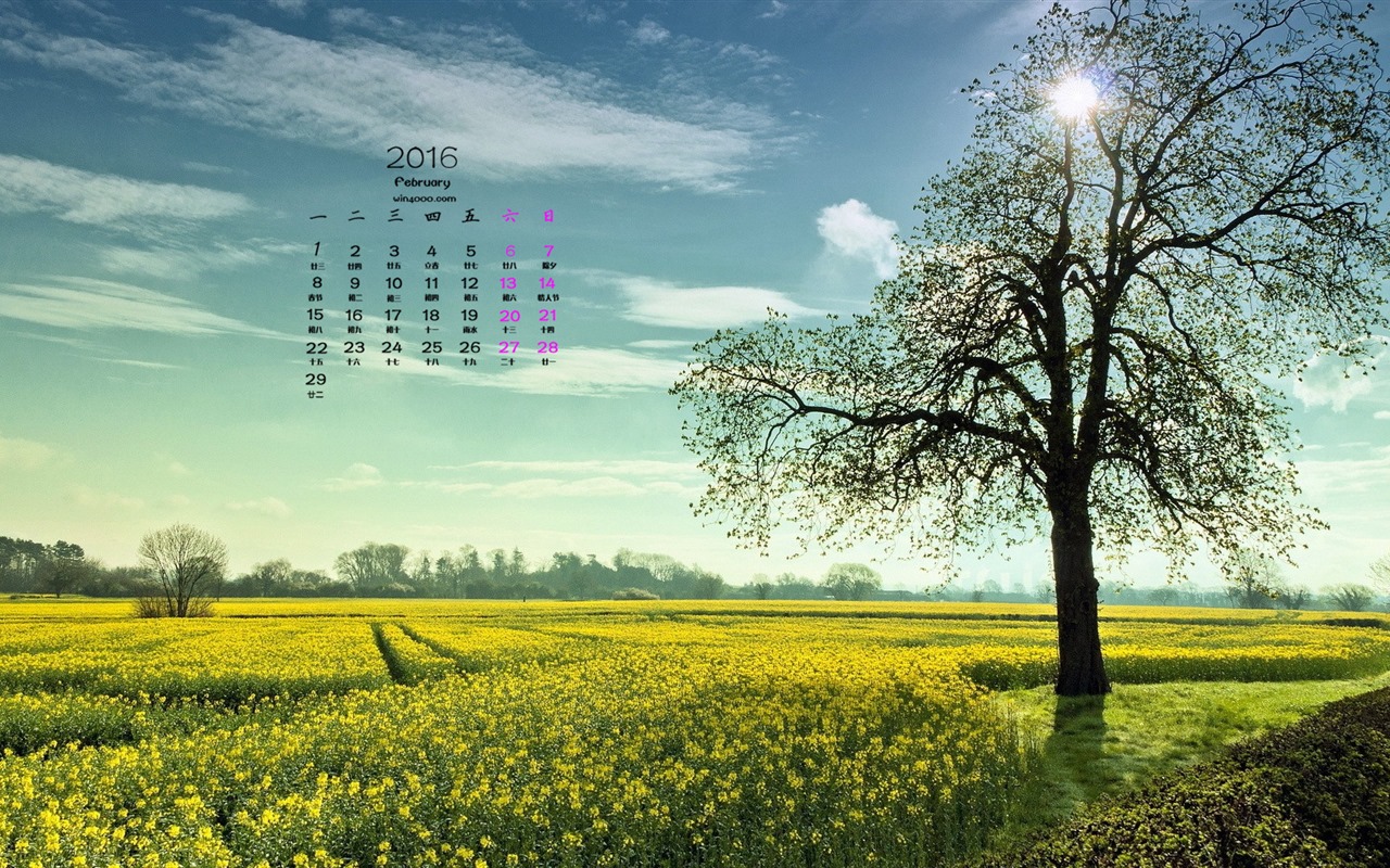 Februar 2016 Kalender Wallpaper (1) #5 - 1280x800