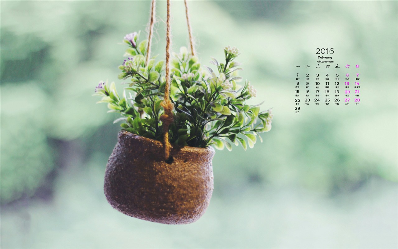 2016年2月 月曆壁紙(一) #8 - 1280x800