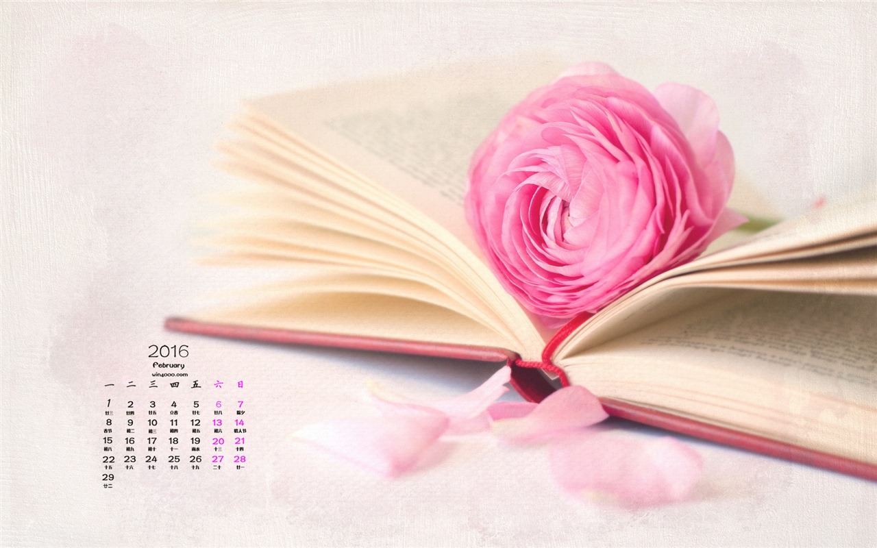 Februar 2016 Kalender Wallpaper (1) #12 - 1280x800