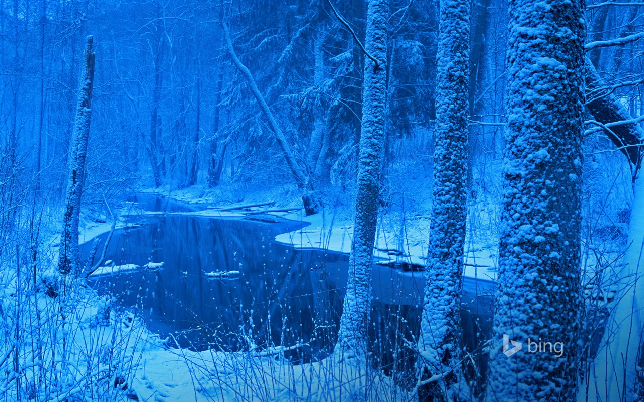 Ledna 2016 Bing téma HD tapety na plochu #8 - 1280x800