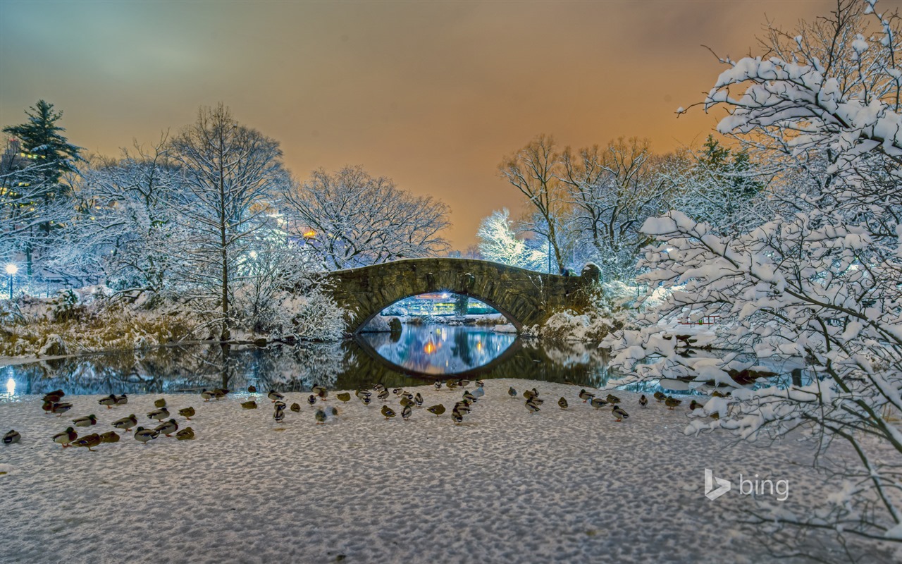 Ledna 2016 Bing téma HD tapety na plochu #18 - 1280x800