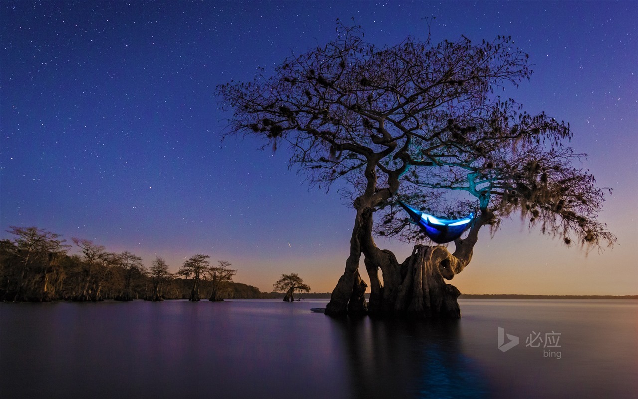 Janvier 2016 fonds d'écran Bing thème HD #22 - 1280x800