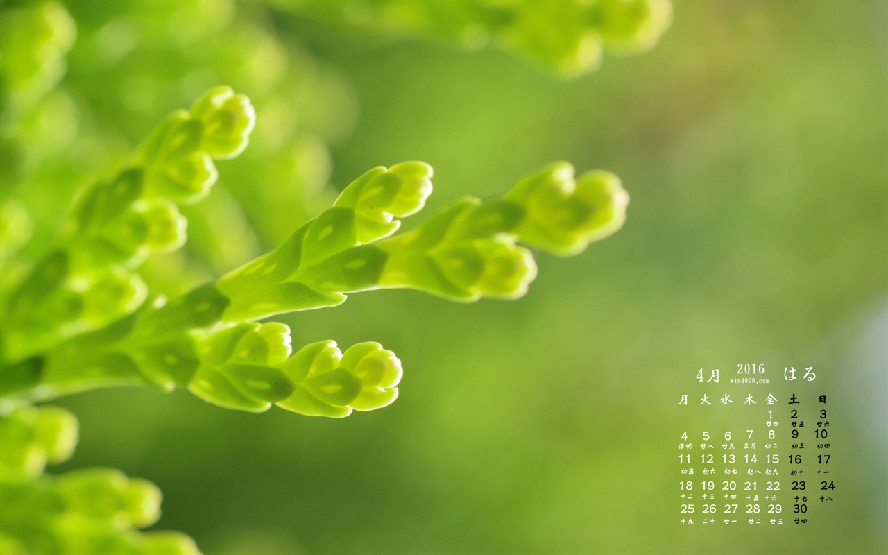 2016年4月 月曆壁紙(二) #2 - 1280x800