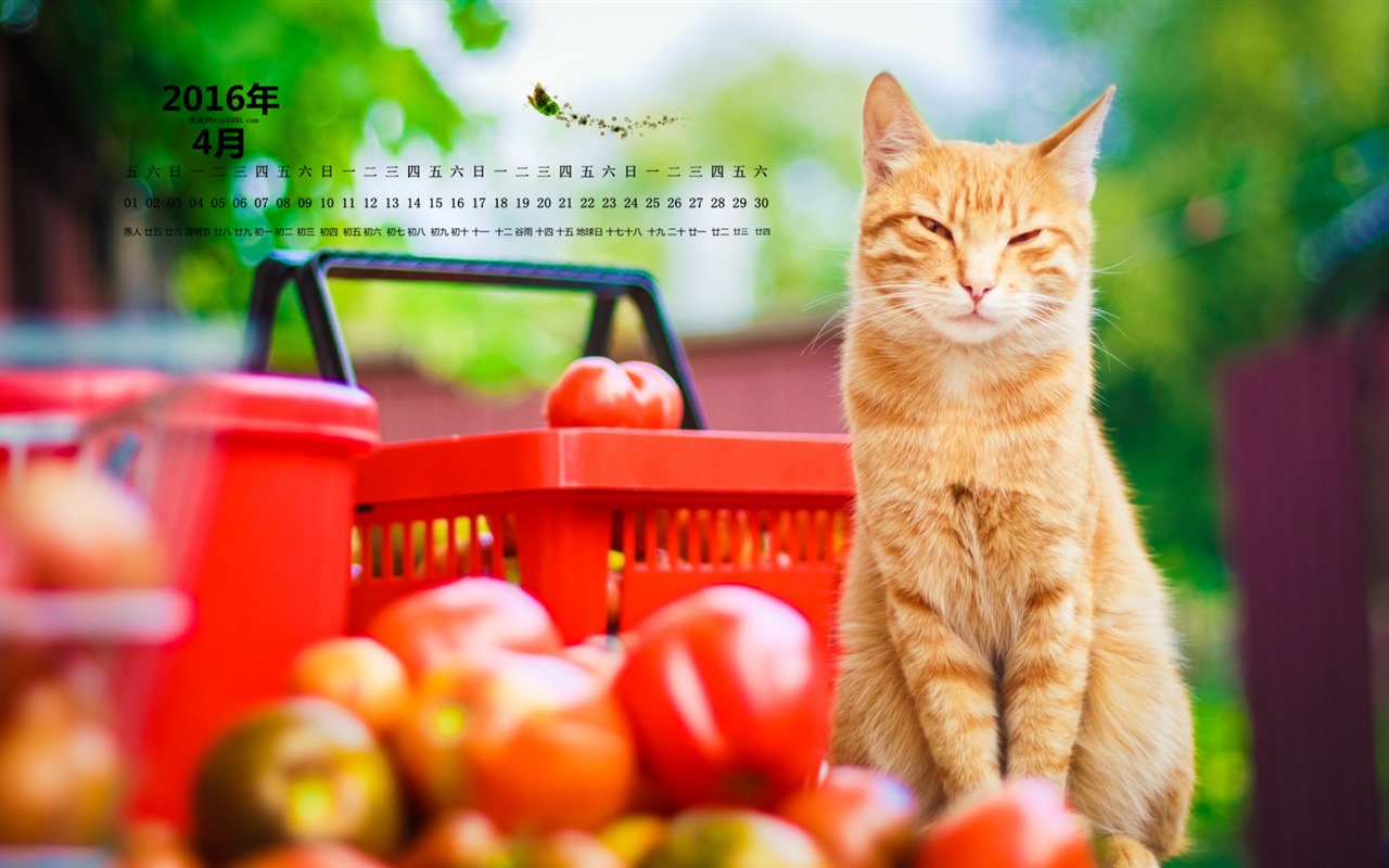 April 2016 calendar wallpaper (2) #7 - 1280x800