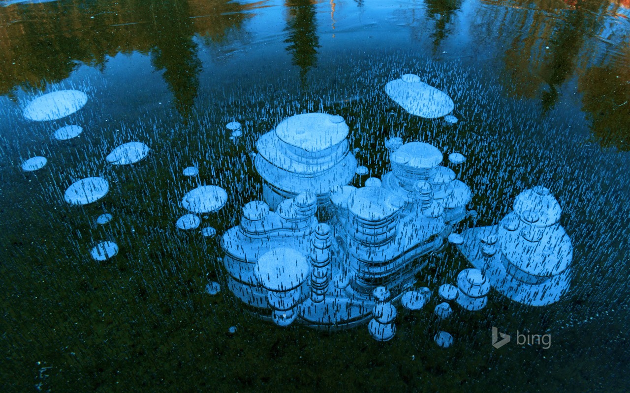 Únor 2016 Bing téma HD tapety na plochu #25 - 1280x800