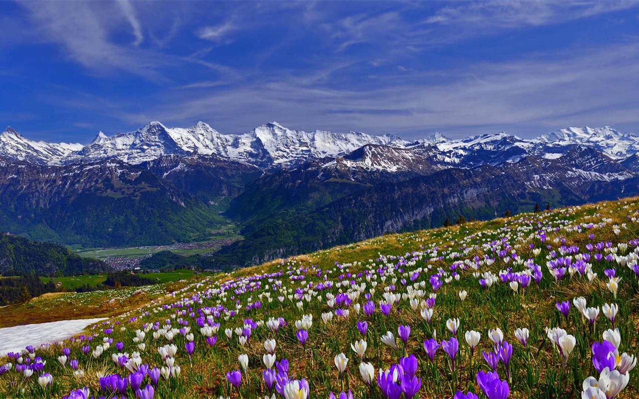 March 2016 Bing theme HD wallpapers #7 - 1280x800
