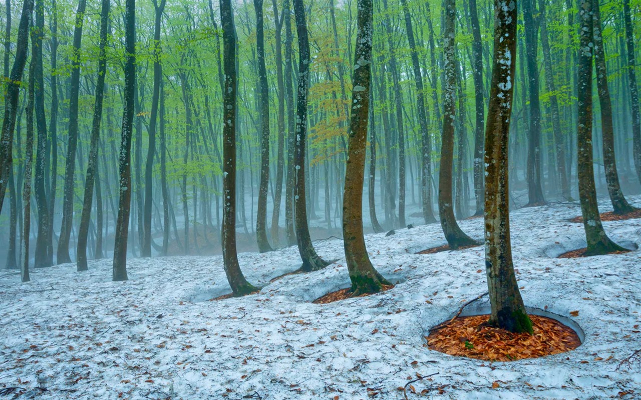 Března 2016 Bing téma HD tapety na plochu #34 - 1280x800