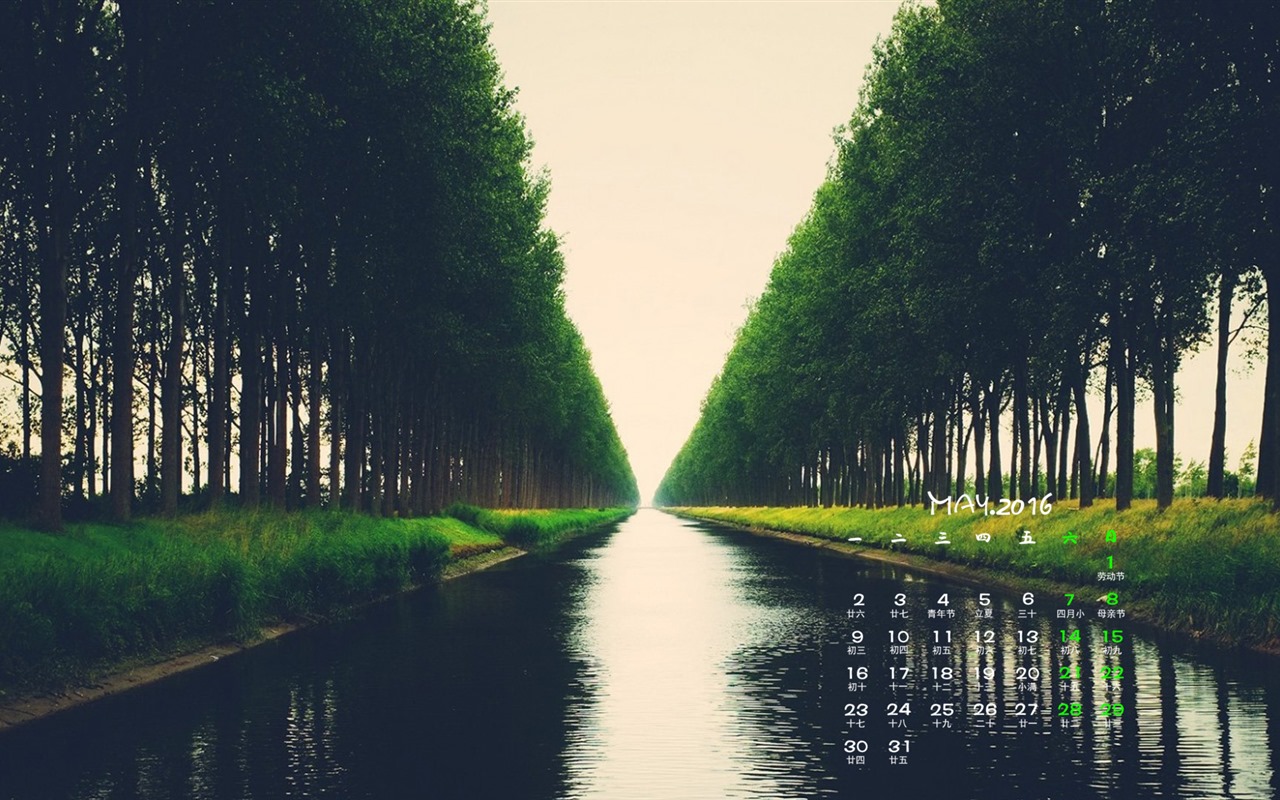 2016年5月 月曆壁紙(一) #12 - 1280x800
