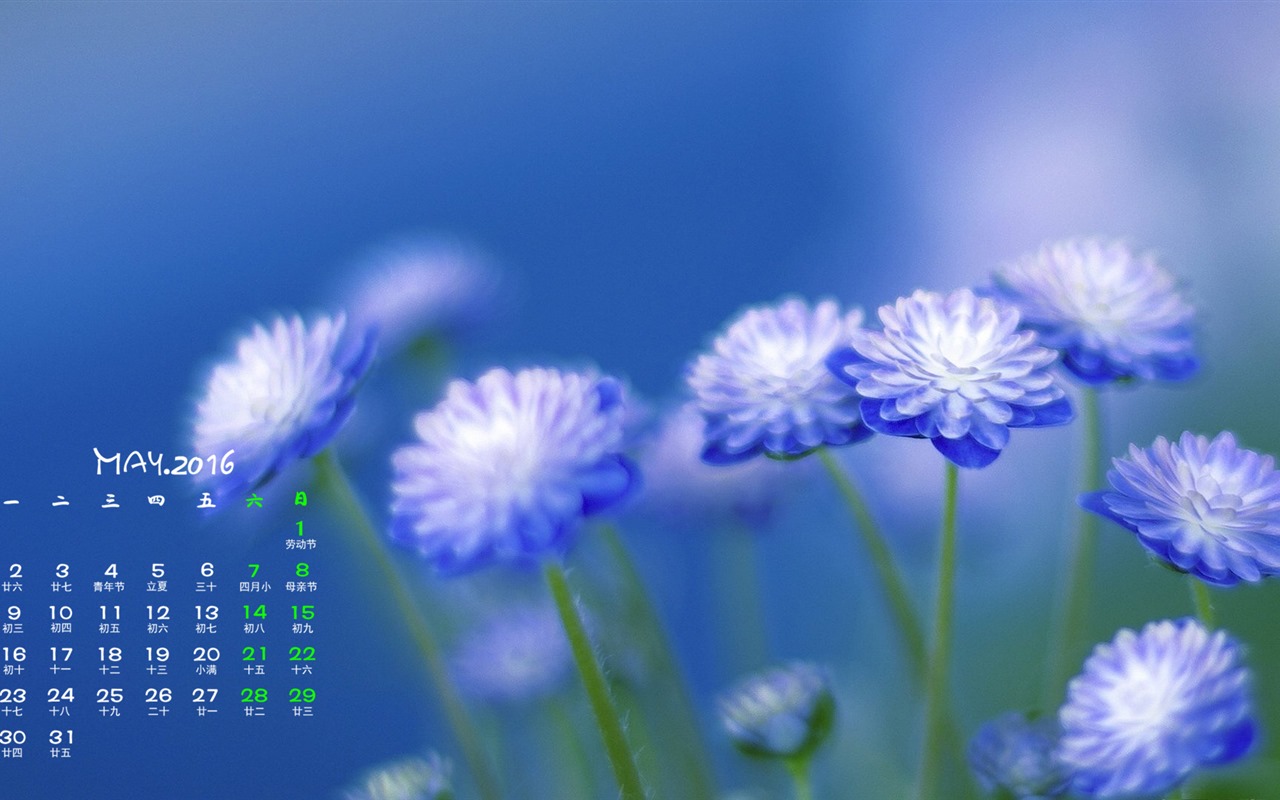 May 2016 calendar wallpaper (1) #14 - 1280x800