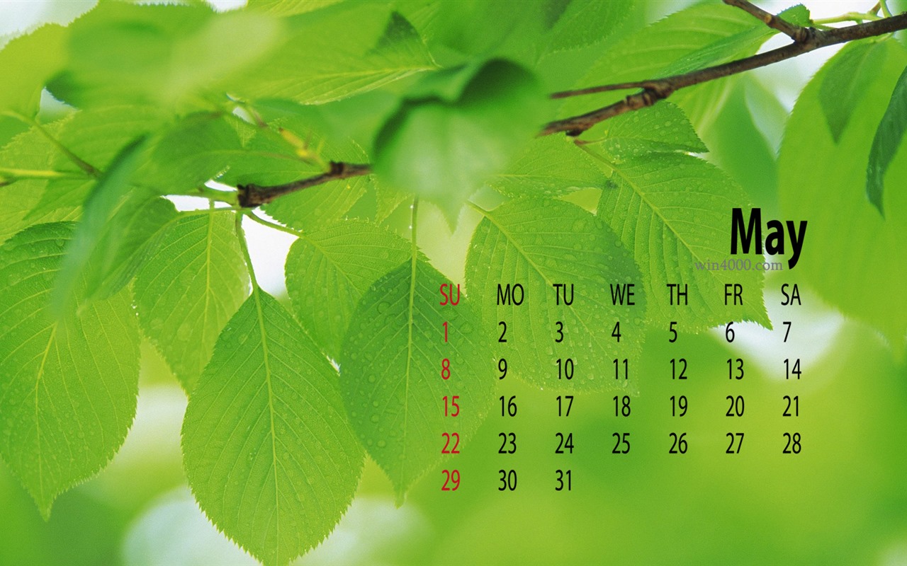 2016年5月 月曆壁紙(一) #19 - 1280x800