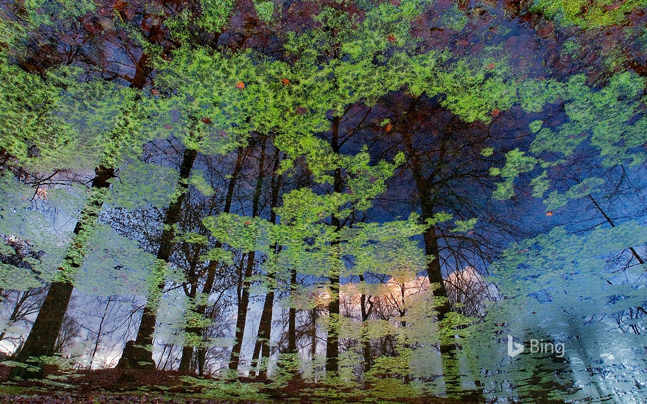 Duben 2016 Bing téma HD tapety na plochu #5 - 1280x800