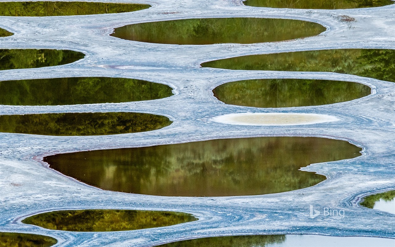 Duben 2016 Bing téma HD tapety na plochu #8 - 1280x800