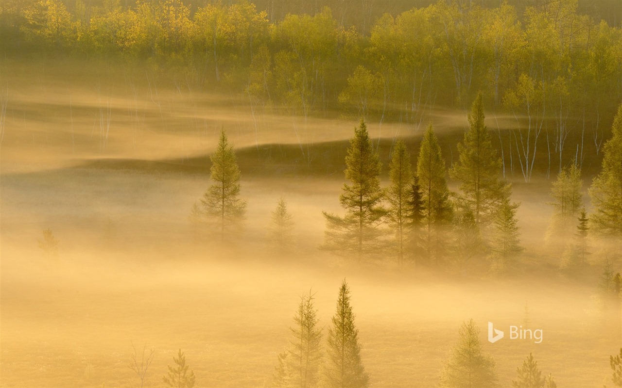 Duben 2016 Bing téma HD tapety na plochu #14 - 1280x800