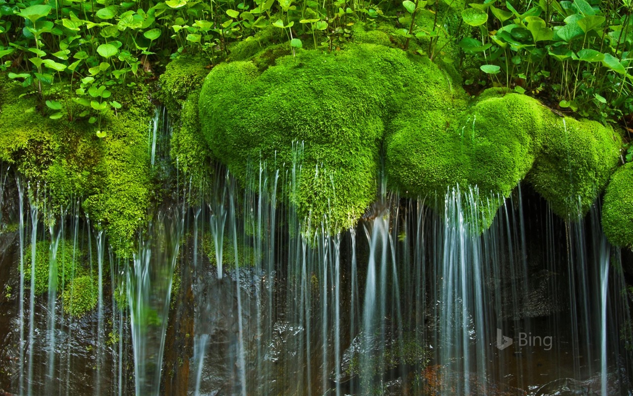 Duben 2016 Bing téma HD tapety na plochu #16 - 1280x800