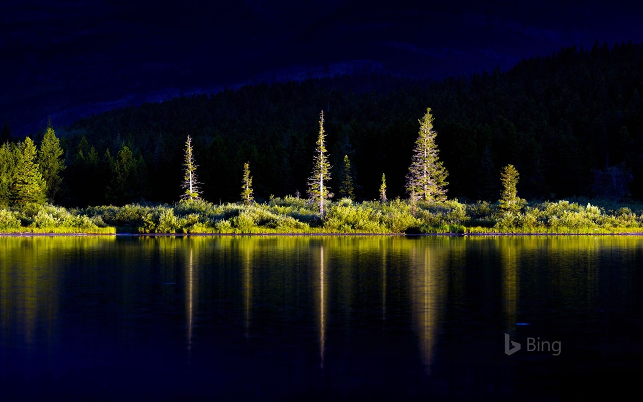 Duben 2016 Bing téma HD tapety na plochu #17 - 1280x800