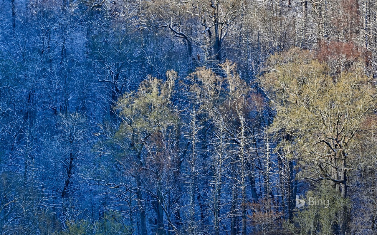 Duben 2016 Bing téma HD tapety na plochu #20 - 1280x800