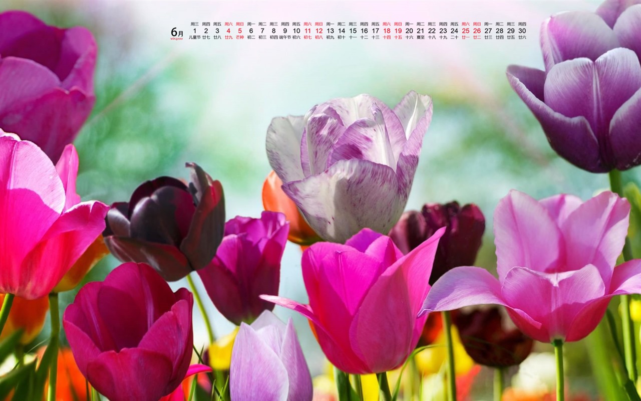 De junio de el año 2016 fondo de pantalla de calendario (1) #8 - 1280x800