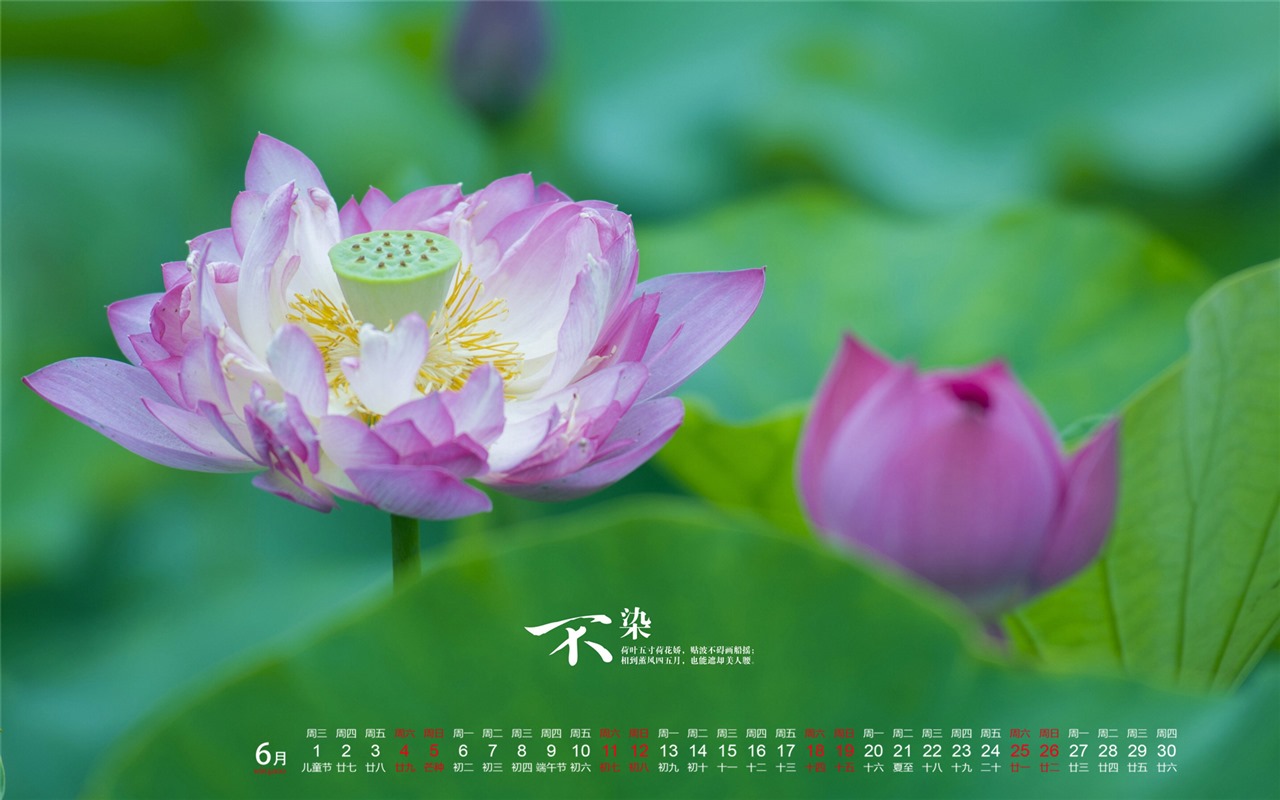 2016年6月 月历壁纸(一)10 - 1280x800